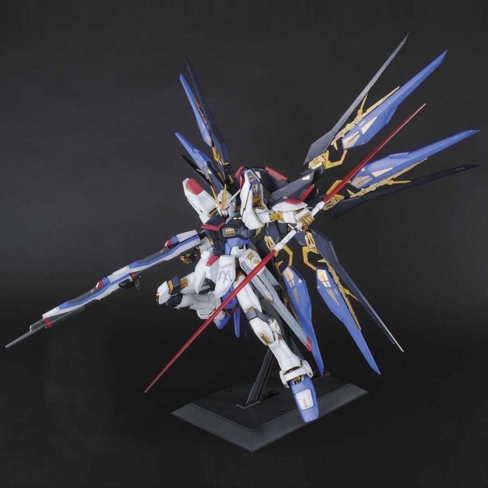 In Stock PG 1/60 DABAN Strike  - огляд і ціна Model Kit Daban