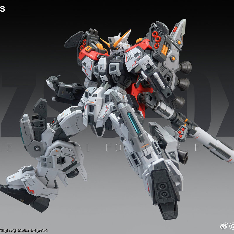 Mecha Model Regus GZSS 1/100 O - огляд і ціна Model Kit Regus