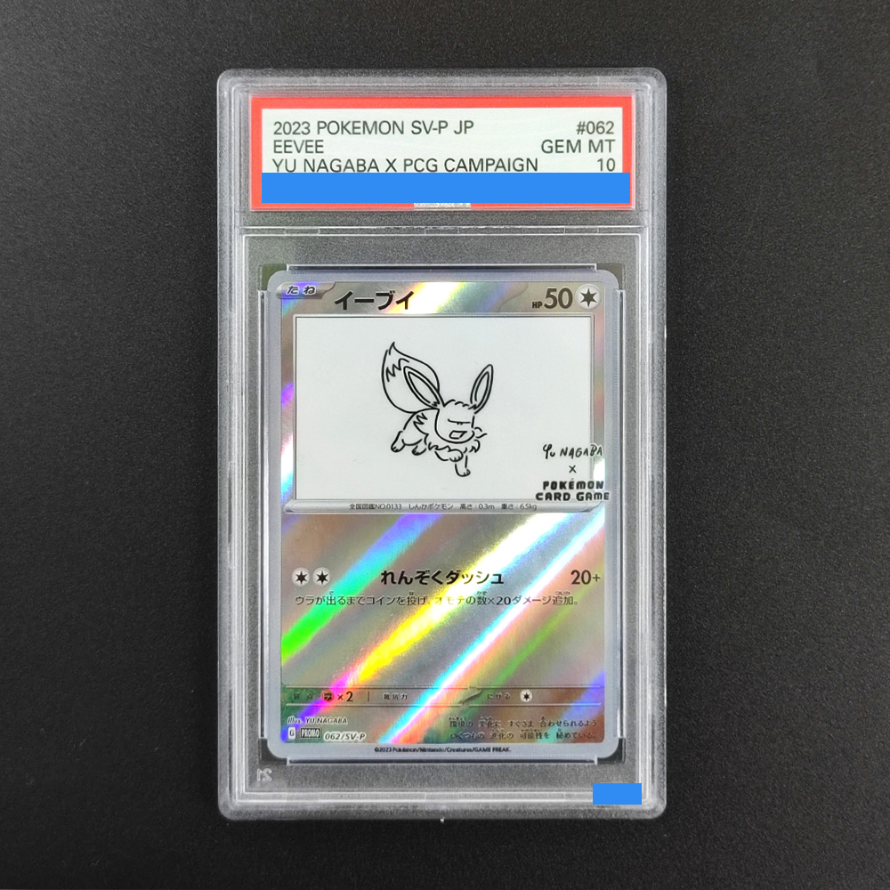 DIY PKM Rating card JAPANESE Y - огляд і ціна Model Kit Umbreon